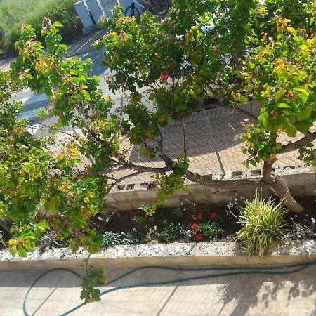 Casa Di Rosa Daire Chia Dış mekan fotoğraf